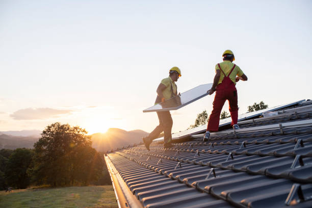 Best Roof Ventilation Installation  in Way, NE