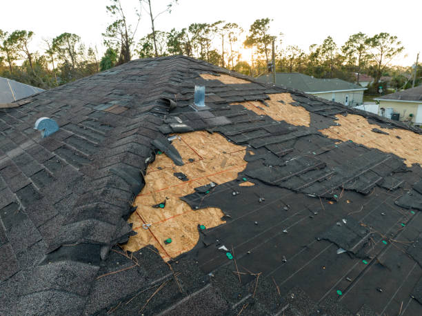 Best Roofing for New Construction  in Way, NE