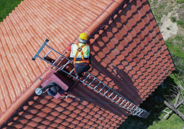 Best Commercial Roofing Services  in Way, NE