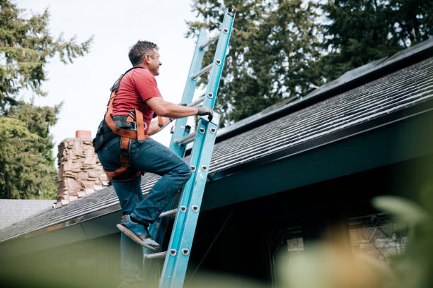 Best Storm Damage Roof Repair  in Way, NE