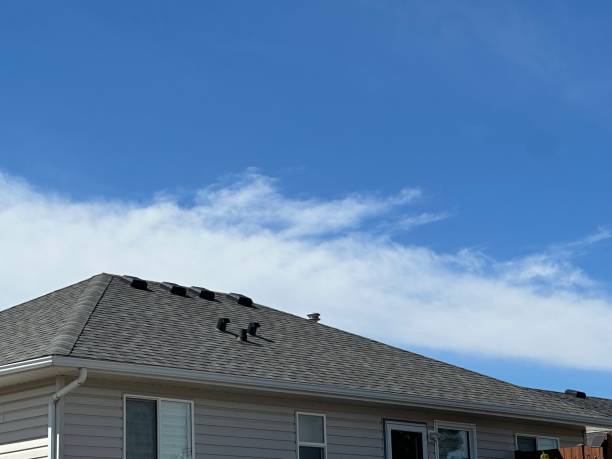 Best Gutter Installation and Repair  in Way, NE